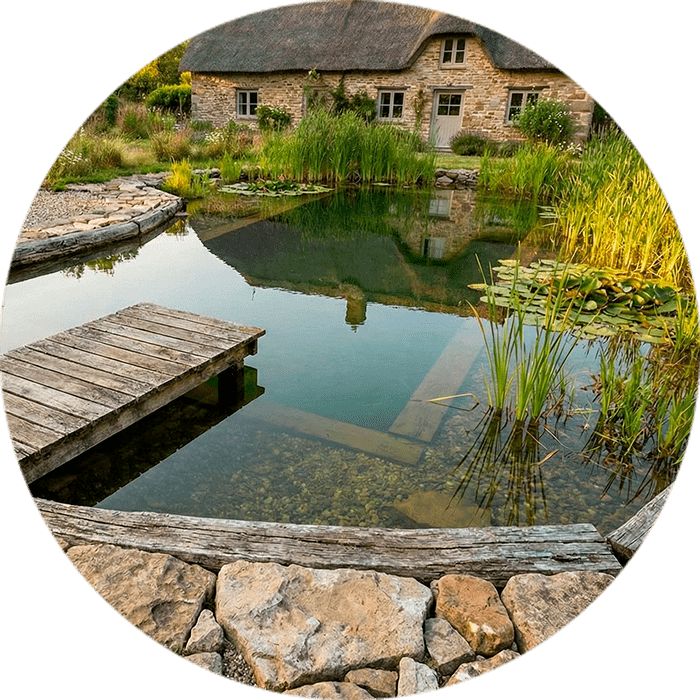 Piscinas Biológicas